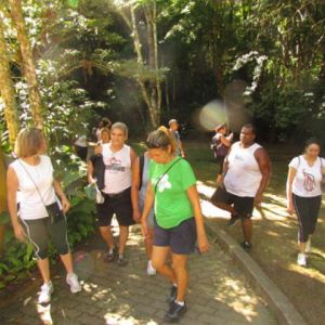 Caminhada Cascata da Diamantina - Floresta da Tijuca