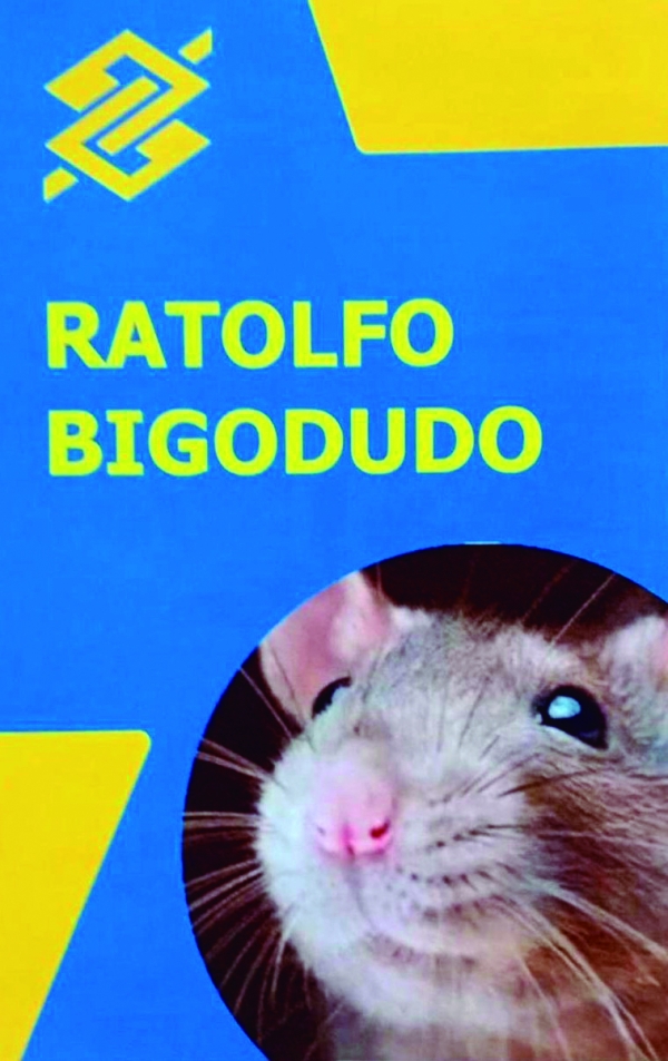 BB: lanche de funcion&aacute;rios da  Ag&ecirc;ncia M&eacute;ier &eacute; atacado por ratos