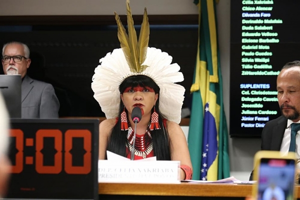 A deputada Célia Xakriabá. Foto: Will Shutter/Câmara dos Deputados.