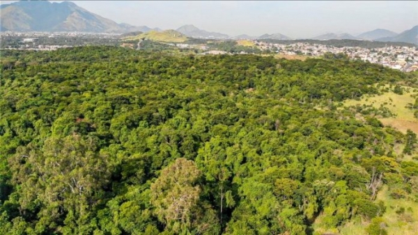 Pressão barrou projeto de transformação da floresta em autódromo