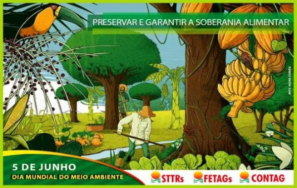 Garantir a Soberania Alimentar a partir da defesa do Meio Ambiente