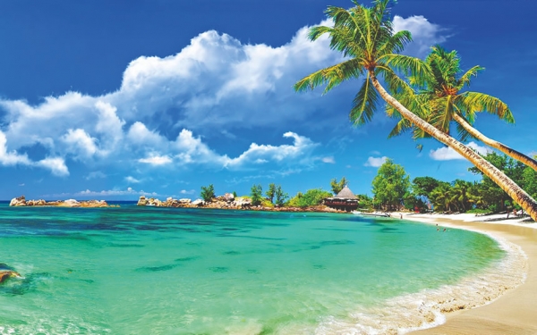 Praias paradisíacas, águas cristalinas e muito verde. Porto Seguro, na Bahia, é um dos roteiros preferidos dos turistas que curtem o litoral brasileiro