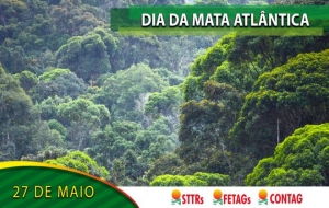 Dia da Mata Atlântica: um dos biomas mais ameaçados do planeta