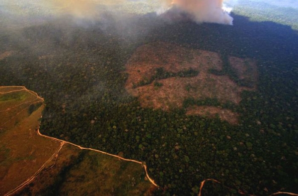 Riscos das mudanças climáticas podem ser ensinados nas escolas, prevê projeto do PT