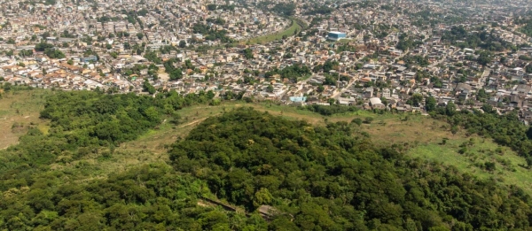 Movimento pela preservação da Floresta do Camboatá ganha destaque