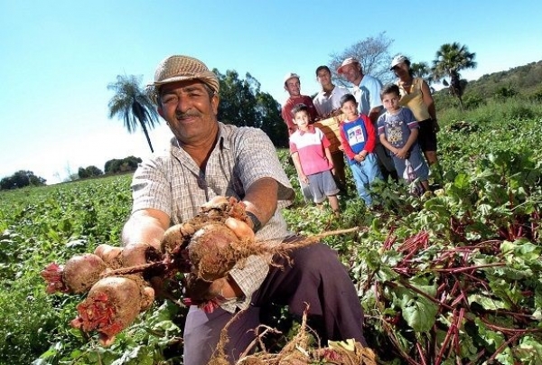 O Banco do Brasil e bancos regionais são fundamentais para a agricultura familiar e microemprendimentos. O projeto privatista do Governo Bolsonaro ameaça estes investimentos