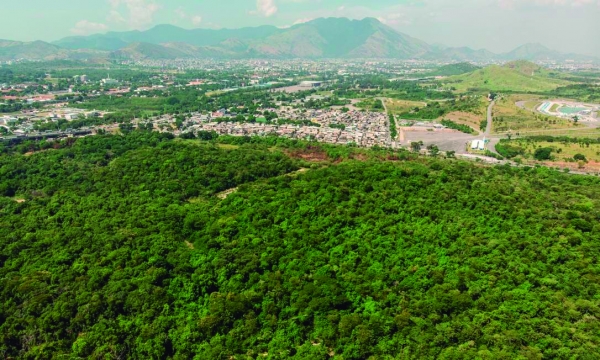 Sindicato realiza debate  SOS Floresta do Camboatá