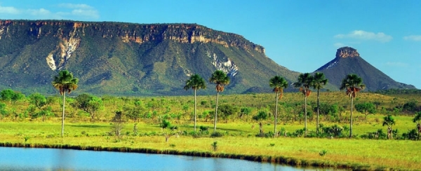 As belezas do Jalapão, no Tocantins